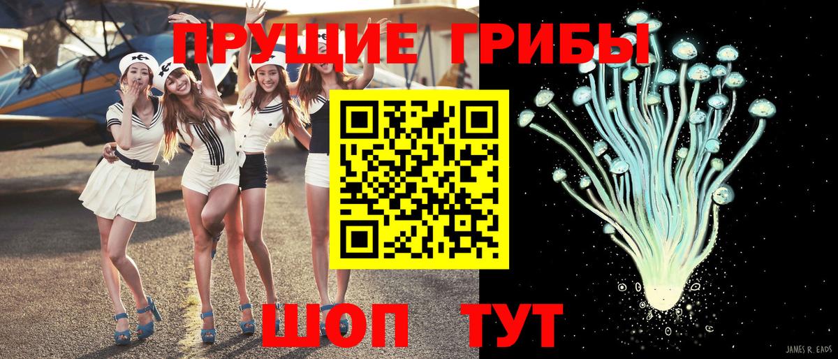 Галлюциногенные грибы прущие грибы  Вход с VPN  Лениногорск 